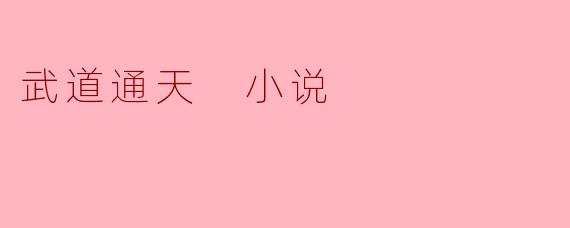 武道通天 小说
